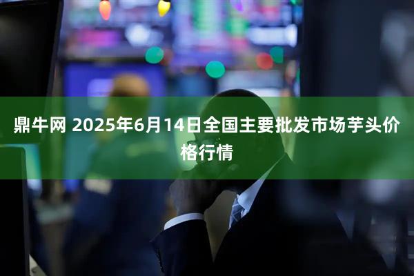 鼎牛网 2025年6月14日全国主要批发市场芋头价格行情