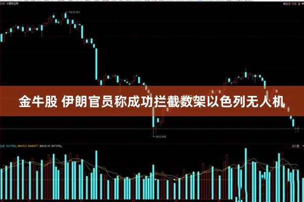 金牛股 伊朗官员称成功拦截数架以色列无人机