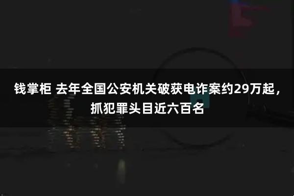 钱掌柜 去年全国公安机关破获电诈案约29万起，抓犯罪头目近六百名