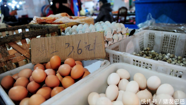 天盈配 油价插翅大涨！6月20日：调价后92/95号汽油价格，蛋价窄幅上涨！