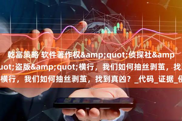 乾富策略 软件著作权"侦探社"：当"盗版"横行，我们如何抽丝剥茧，找到真凶？_代码_证据_侵权