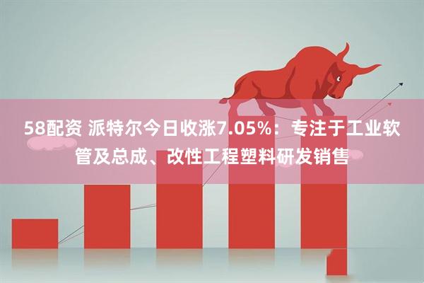 58配资 派特尔今日收涨7.05%：专注于工业软管及总成、改性工程塑料研发销售
