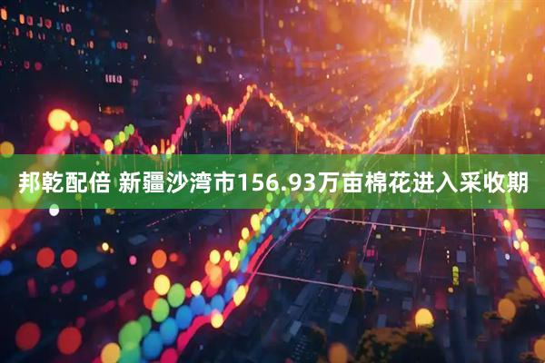 邦乾配倍 新疆沙湾市156.93万亩棉花进入采收期